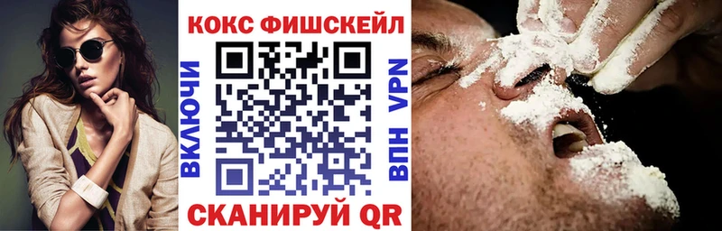 Кокаин FishScale  Купить закладки  Закаменск 